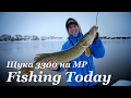 Легкий джиг на МР. Щука 3300. Джиговые приманки - Fishing Today