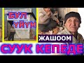 65 жаштагы АТА 15 жылдан бери суук БУТКАДА жалгыз жашап, айласы кетти КУРГАНДЫН. Ноокаттыктар жардам