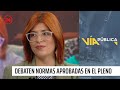 Consejeras constitucionales debaten normas aprobadas en el pleno  | 24 Horas TVN Chile