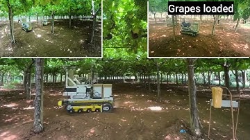 Enhancing Precision Agriculture Through Human-in-the-Loop Planning and Control