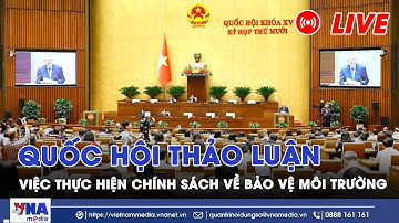 🔴TRỰC TIẾP: Quốc hội thảo luận việc thực hiện chính sách về bảo vệ môi trường - VNAMedia