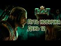 Путь новичка в Гвинт / Gwent.  День 12 - Мороз и Бодрость