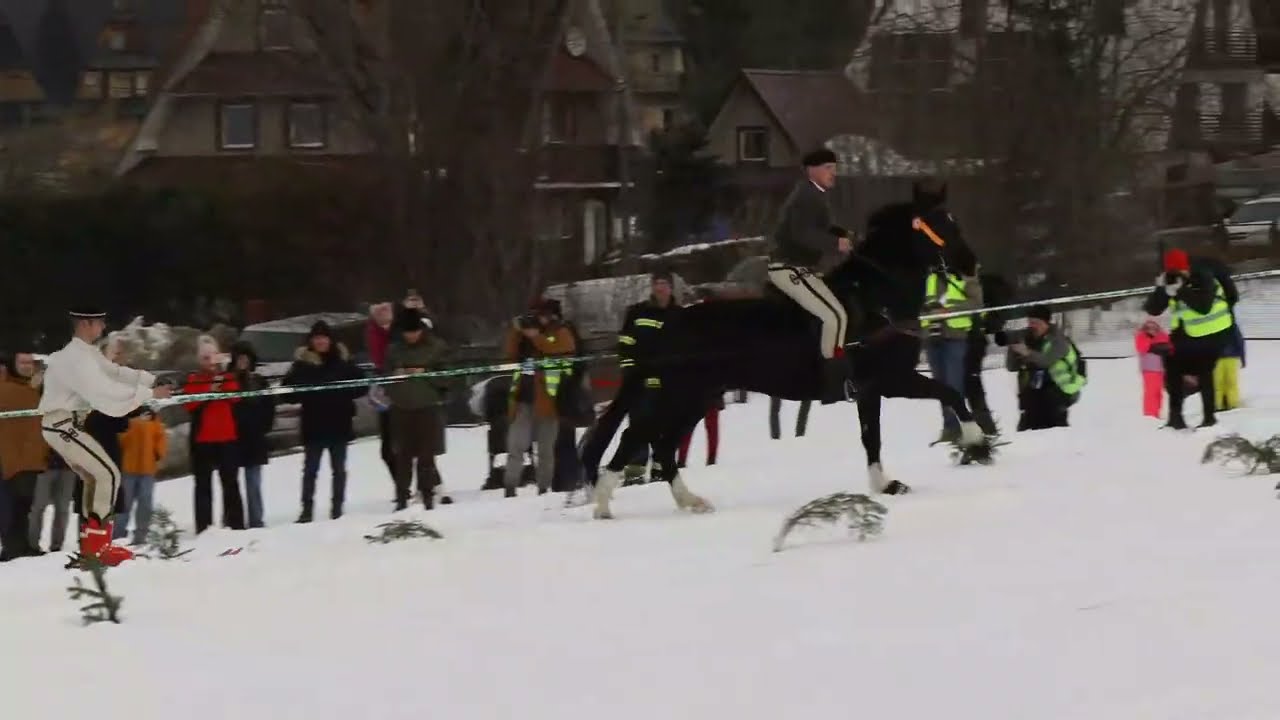 Wyścigi kumoterek, skiring, skiskiring