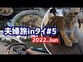 パタヤで子トラとサーキットとタイ式焼肉ムーガタ【8泊10日夫婦旅inタイ＃5】