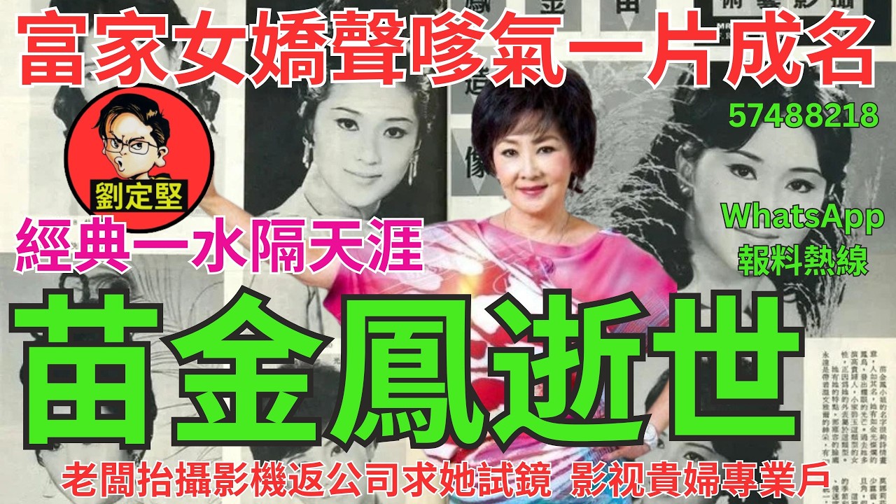 苗金鳳逝世。娛圈趣系列714