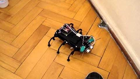 Kitrobot Robot Insecto RI2