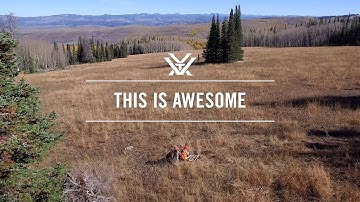 Vortex Optics - This Is Awesome