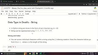 Python Lecture 12 | String Index and Slicing | NMD Pvt Ltd. Data Analytics Courses, Pune | DA20