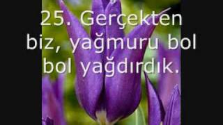 Ebubekir Şatıri Abese SURESi
