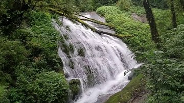 Cloud Forest Waterfall | Natural Ambient White Noise Water Sound | Relaxing Video | 10 Hours