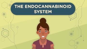 The Endocannabinoid System, Part 1