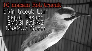 Pancingan Trucukan Rol Mengejek Lawan Bikin Trucukan Lain Seketika Langsung Nyaut Buka Suara Pancingan Trucukan Rol Mengejek Lawan Bikin Trucukan Lain Seketika Langsung Nyaut Buka Suara