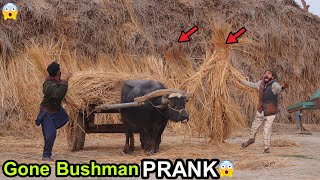 Gone Hilarious: Fainted Bushman Scare Prank In Village! Fails BUSH Video 2024