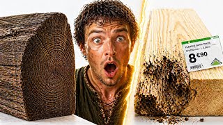 Pourquoi le bois du Moyen Âge dure 800 ans (et pas le nôtre)