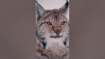 Stop and take a break. #hopecore #nature #edit