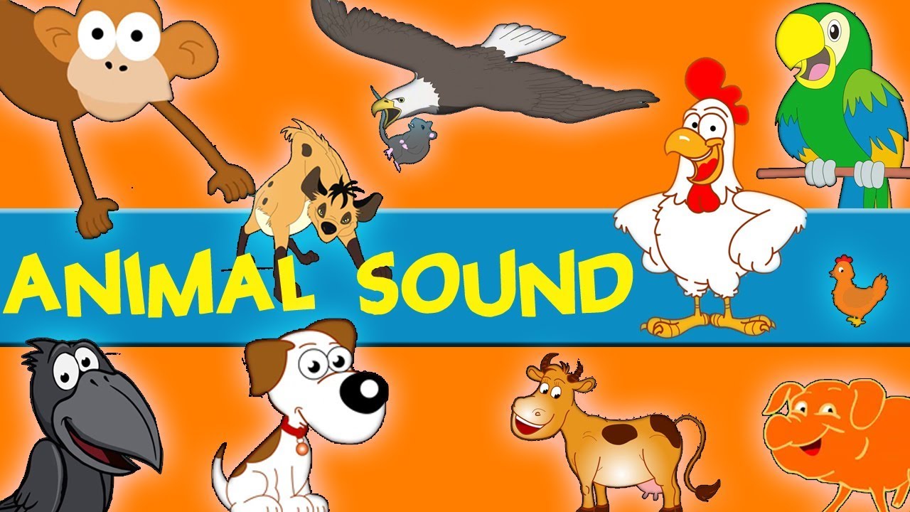 Звуки животных музыка. Звуки животных для малышей. Ономатопея животные. Animals Sounds звуки. Animals Sounds for Kids.
