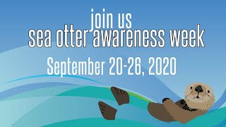 Counting Sea Otters: In the Field During the Sea Otter Census, featuring Joe Tomoleoni (USGS)
