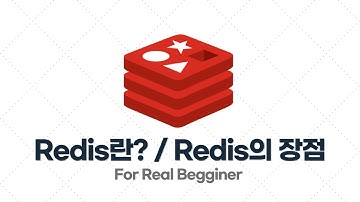 Redis 입문·실전 - 1.1. Redis란? / Redis의 장점