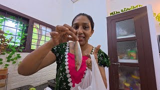 🐟പെട്ടന്ന് ചെയ്താലോ ✌️☘️ Daily Vlog || Wide Vlogs || Cooking || Lunch 
