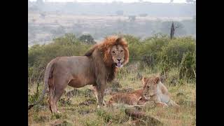 2023 Kenya Mara North Slideshow