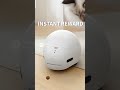 BORED CAT FIX in 5 Seconds(With Treats!)#ad