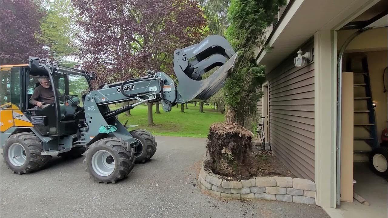 Pulling Shrubs with the Giant. YouTube