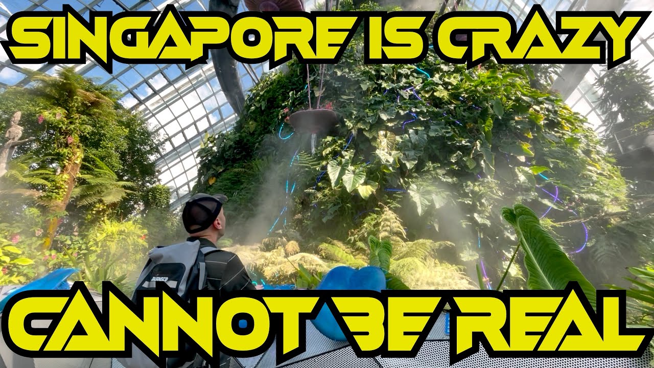 Journey to the Cloud Forest | Seduced by Satay Street | Crazy Singapore ...