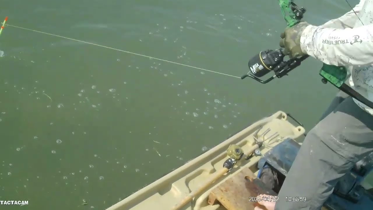 Priestless Forgot the fish bat 