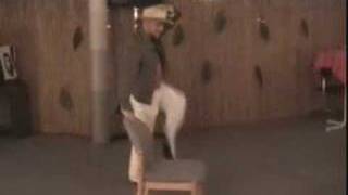 Salsa Show Heidelberg - Tel: 0157-713 52 988