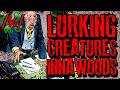 Strange Lurking Creatures 4chan K Innawoods Greentext Stories Thread mp3