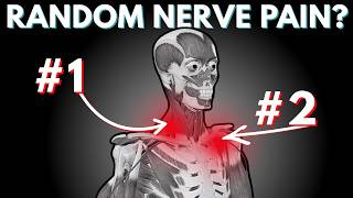 2 Muscles Causing Your Thoracic Outlet Syndrome (Plus How To Release Them)