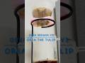 260517 OREA Brewer V3 &amp; THE TULIP