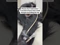 🚨 HE WAS SO WEAK… HE STOPPED MOVING 🐶💔