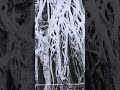 la Porta Segreta della Grande Sfinge 5 #shorts