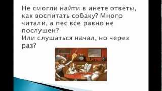 Школа любящих хозяев урок № 1 (Дрессировка собаки) Школа любящих хозяев урок № 1 (Дрессировка собаки)
