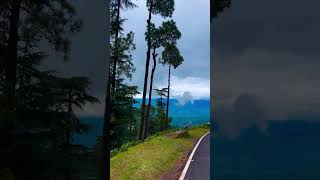 aie hawa mere sang sang chal #love #song#nature #travel 💞