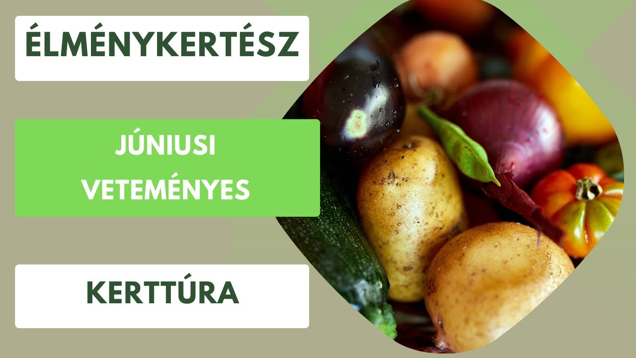 Veteményes túra júniusban