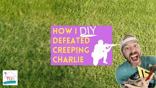 How to Kill Creeping Charlie for GOOD➔ Easy DIY Lawncare Recipe for WeedFree Grass