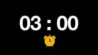 3 minute Silent Timer !