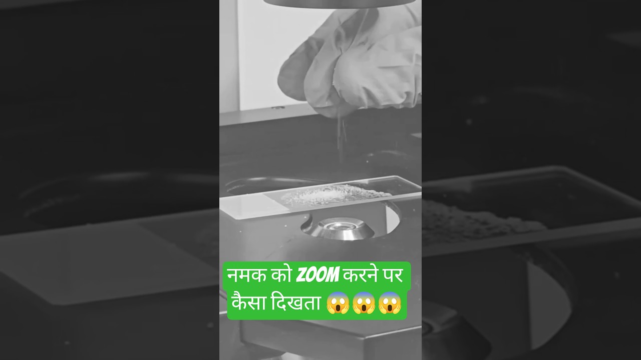 Salt under the Microscope 