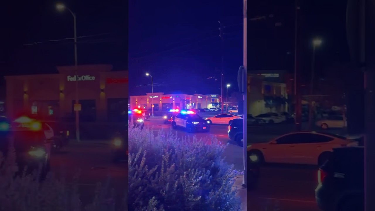 POV: You Go To A LA Car Meet 