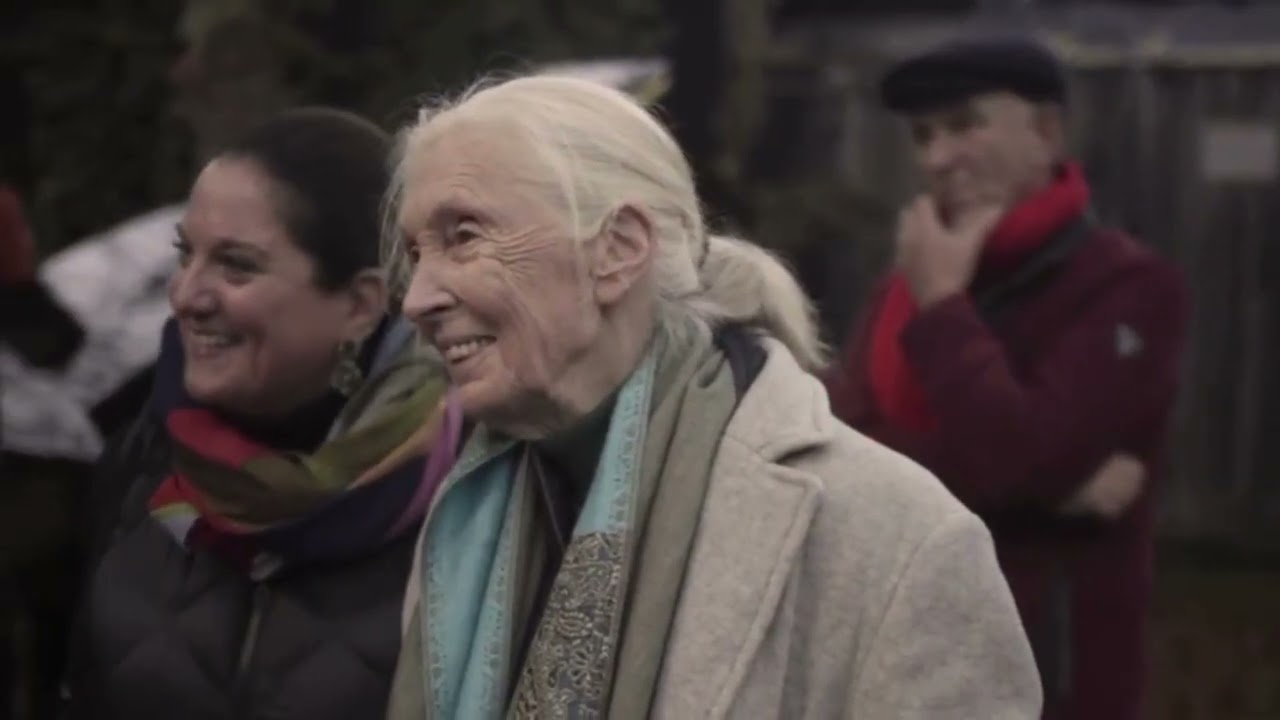 Alles hängt zusammen: Jane Goodalls letzter Österreich-Besuch (Salzburg 2024)