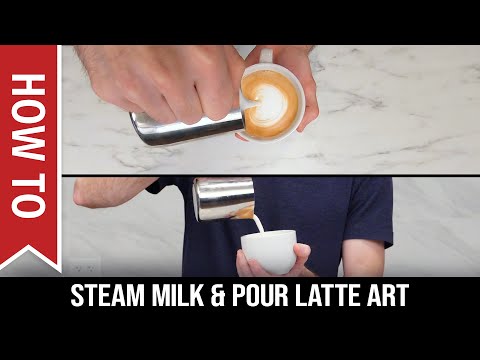 How To: Beginner's Guide to Steam Milk and Pour Latte Art