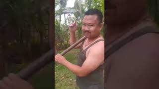 Village Work Farming