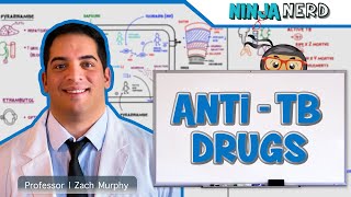 Antimycobacterials | AntiTB Drugs