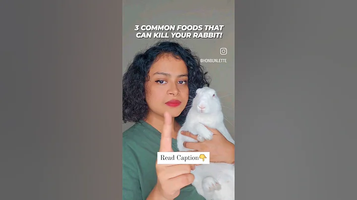 3 common food that can kill your rabbit! #rabbit #rabbitcare #rabbithealth #pet #rabbitdiet #petcare