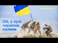 Ой у лузі червона калина Instrumental мінусовка фонограма для співу