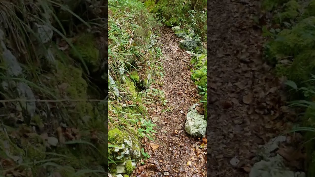 Parco Tematico della Grande Guerra "Abschnitt-Saisera". Linea trincerata "Vordere Saisera".