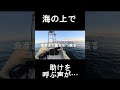 【離島生活】海の上で助けを求める声が…#離島#SOS