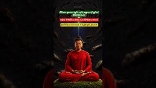          srilanka dhamma